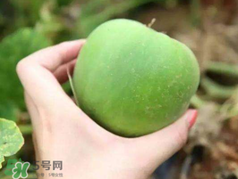 梨瓜是熱性還是涼性？梨瓜是酸性還是堿性？