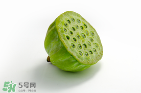 蓮蓬什么時(shí)候成熟？蓮蓬什么時(shí)候上市？