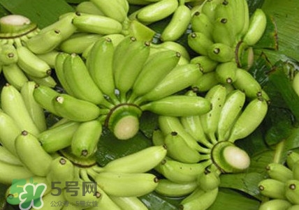 芭蕉什么時候成熟？芭蕉什么時候開花