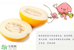 黃金瓜熱量高嗎？黃金瓜會胖嗎？