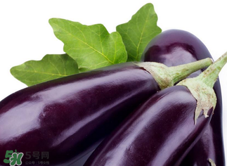 茄子怎么挑選？如何挑選茄子？
