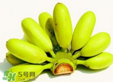 芭蕉是香蕉嗎？芭蕉和香蕉的區(qū)別