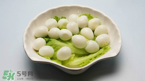 鵪鶉蛋和雞蛋哪個營養(yǎng)價值高？鵪鶉蛋怎么選購？