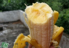 芭蕉是熱性還是涼性？芭蕉是熱性還是寒性？
