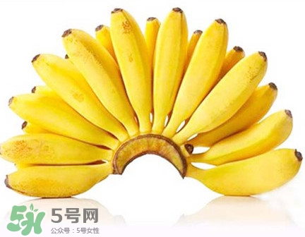 芭蕉和香蕉哪個貴？芭蕉和香蕉哪個好
