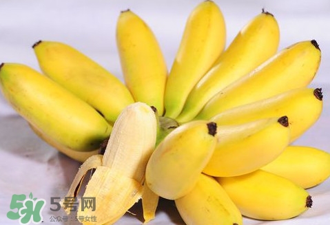 芭蕉可以空腹吃嗎？空腹吃芭蕉有什么危害