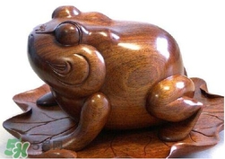 蟾蜍有什么寓意？為什么蟾蜍被寓意為招財(cái)？
