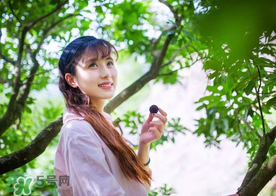 仙居楊梅在哪里？仙居楊梅哪里最好？