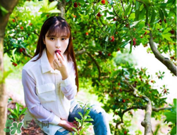 仙居楊梅在哪里？仙居楊梅哪里最好？