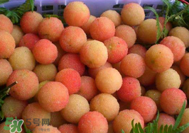 白楊梅可以泡酒嗎？白楊梅泡酒有什么功效？
