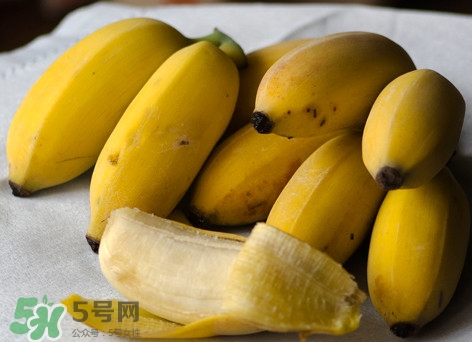 皇帝蕉是不是香蕉？皇帝蕉與普通香蕉區(qū)別
