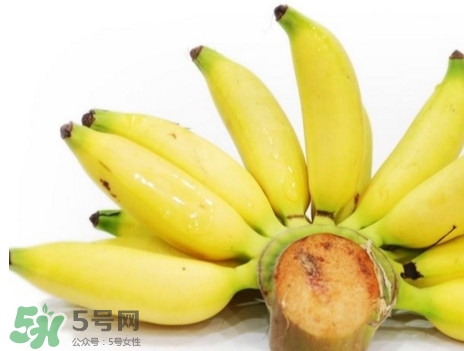 皇帝蕉是轉(zhuǎn)基因的嗎？皇帝蕉產(chǎn)地是哪里？