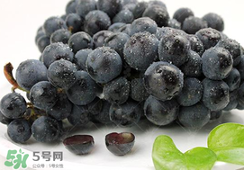 無籽葡萄有哪些品種？無籽葡萄多少錢一斤？