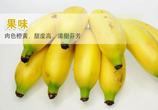 皇帝蕉多少錢一斤？2017皇帝蕉價格