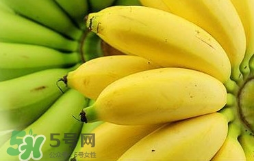 帝王蕉多少錢一斤？帝王蕉是轉(zhuǎn)基因香蕉嗎