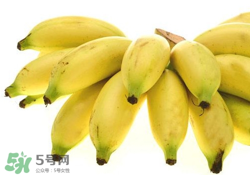 帝王蕉是芭蕉嗎？帝王蕉和芭蕉的區(qū)別