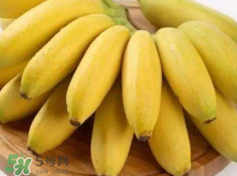 帝王蕉多少錢一斤？帝王蕉是轉(zhuǎn)基因香蕉嗎