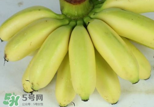 帝王蕉和皇帝蕉有區(qū)別嗎？帝王蕉和普通香蕉區(qū)別