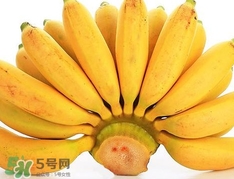 皇帝蕉是芭蕉嗎？皇帝蕉和芭蕉的區(qū)別