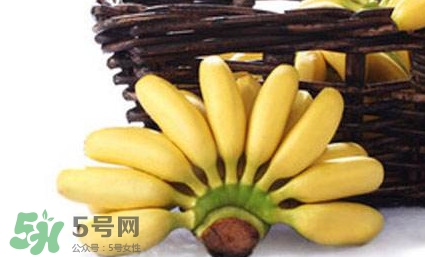 帝王蕉是芭蕉嗎？帝王蕉和芭蕉的區(qū)別