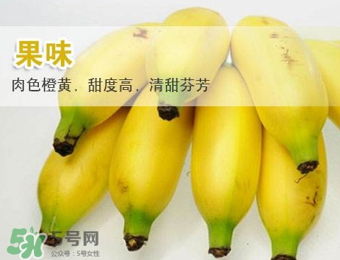皇帝蕉多少錢(qián)一斤？2017皇帝蕉價(jià)格