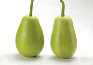 苦瓠子有毒嗎？苦瓠子中毒怎么辦？