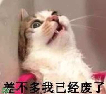 閉口是什么 閉口的形成原因和治療方法 閉口是什么 閉口的形成原因和治療方法