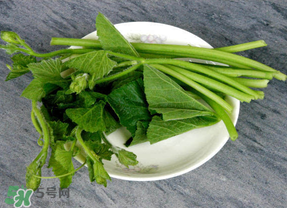 南瓜葉怎么處理？南瓜葉怎么炒？