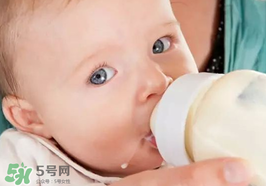 世界一線的奶粉品牌有哪些？全球一流的品牌奶粉有哪些？