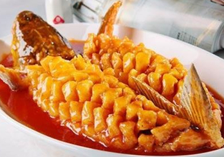 松鼠魚是哪里的菜？松鼠魚是什么菜系？