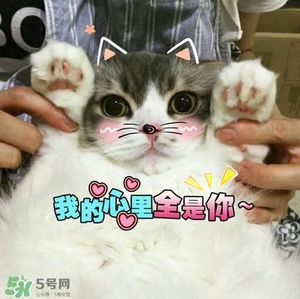 閉口是什么 閉口的形成原因和治療方法 閉口是什么 閉口的形成原因和治療方法