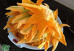南瓜花有什么作用？南瓜花的作用及禁忌