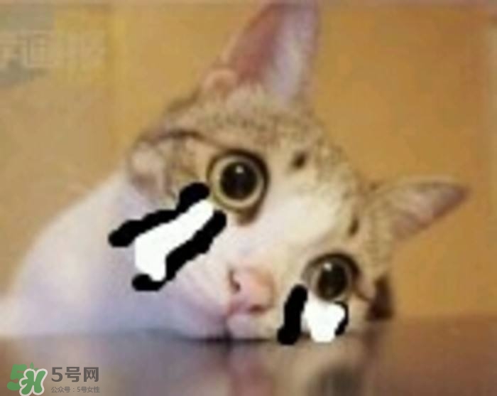 閉口是什么 閉口的形成原因和治療方法 閉口是什么 閉口的形成原因和治療方法