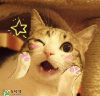 閉口是什么 閉口的形成原因和治療方法 閉口是什么 閉口的形成原因和治療方法