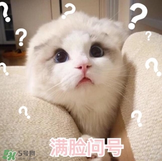 閉口是什么 閉口的形成原因和治療方法 閉口是什么 閉口的形成原因和治療方法