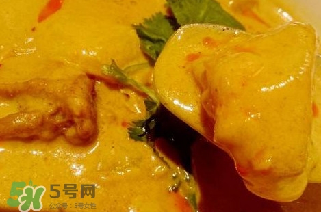 咖喱到底是什么物質？咖喱是植物嗎
