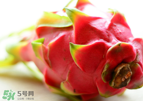 七月份可以種火龍果嗎？火龍果什么時候種植？