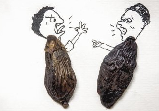 口味王檳榔是什么東西？口味王檳榔怎么吃