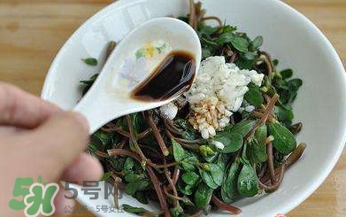 螞蚱菜對人體有哪些好處？螞蚱菜不能和什么一起吃
