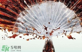 運動后可以喝可樂嗎？運動后喝可樂會胖嗎？