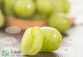 青提怎么保存？青提可以放冰箱嗎？