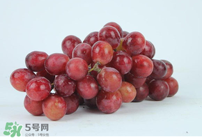 紅提多少錢一斤？紅提子多少錢一斤？