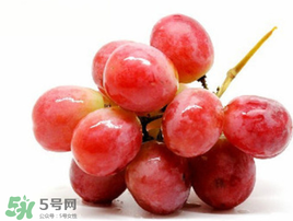 紅提可以放冰箱嗎？紅提放冷庫怎么保存？