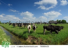 奶粉哪個(gè)國家的最好？奶粉哪個(gè)國家的奶源好？