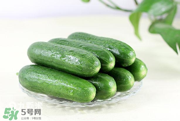 水果黃瓜常溫能放多久？水果黃瓜怎么保存？