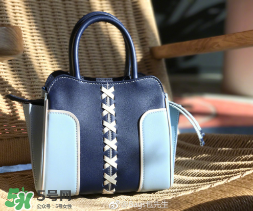 tod's與包先生聯(lián)名合作款折耳包包尺寸多大？