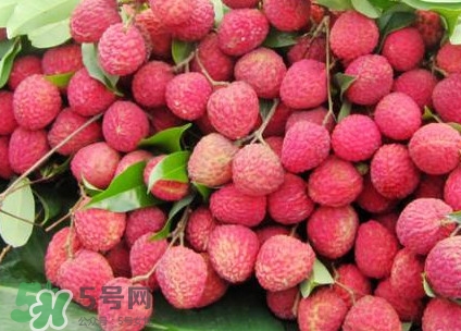 增城荔枝節(jié)是什么時(shí)候？2017年增城荔枝節(jié)時(shí)間