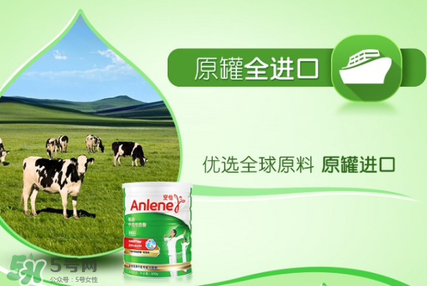 Anlene安怡奶粉怎么樣？Anlene安怡奶粉好不好？