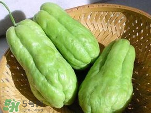 佛手瓜發(fā)芽了可以吃嗎？佛手瓜怎么吃？