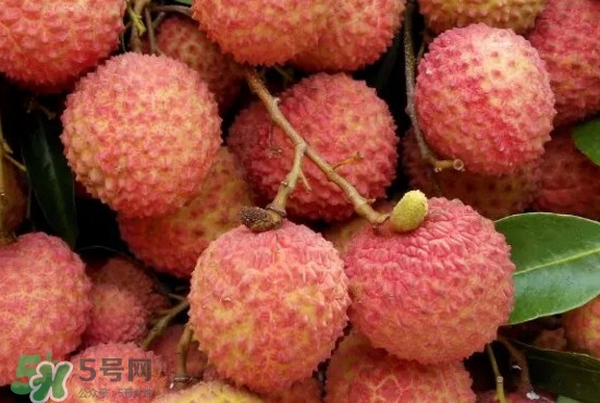 掛綠荔枝什么時候上市？掛綠荔枝什么時候成熟